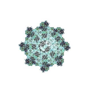 Thumbnail of post image 163