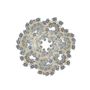 Thumbnail of post image 052