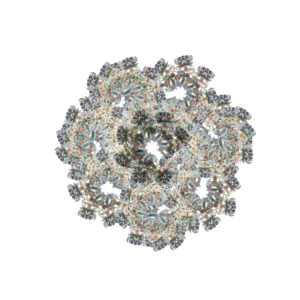 Thumbnail of post image 013