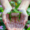 Thumbnail of related posts 096