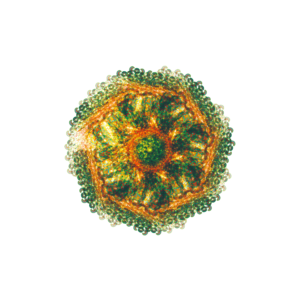 Thumbnail of post image 115