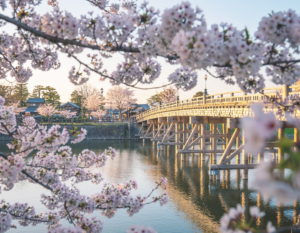 Thumbnail of post image 139